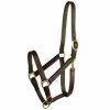 Halter - Leather Halter Stable With Snap Wean