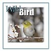 Wild Bird Products